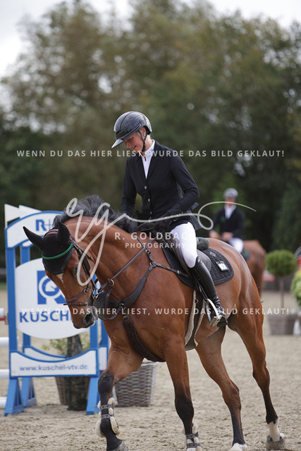 1J2A0938Meike Jalas_ Vollcool_ Kn991_ Havekost | Foto- und Videografie für alles rund ums Pferd. Hochwertige Bilder und Videos vom Spring- und Dressurreiten, Voltigieren & mehr. Jetzt aktuelle Veranstaltungen und Preise im Shop ansehen. - Realisiert mit Pictrs.com