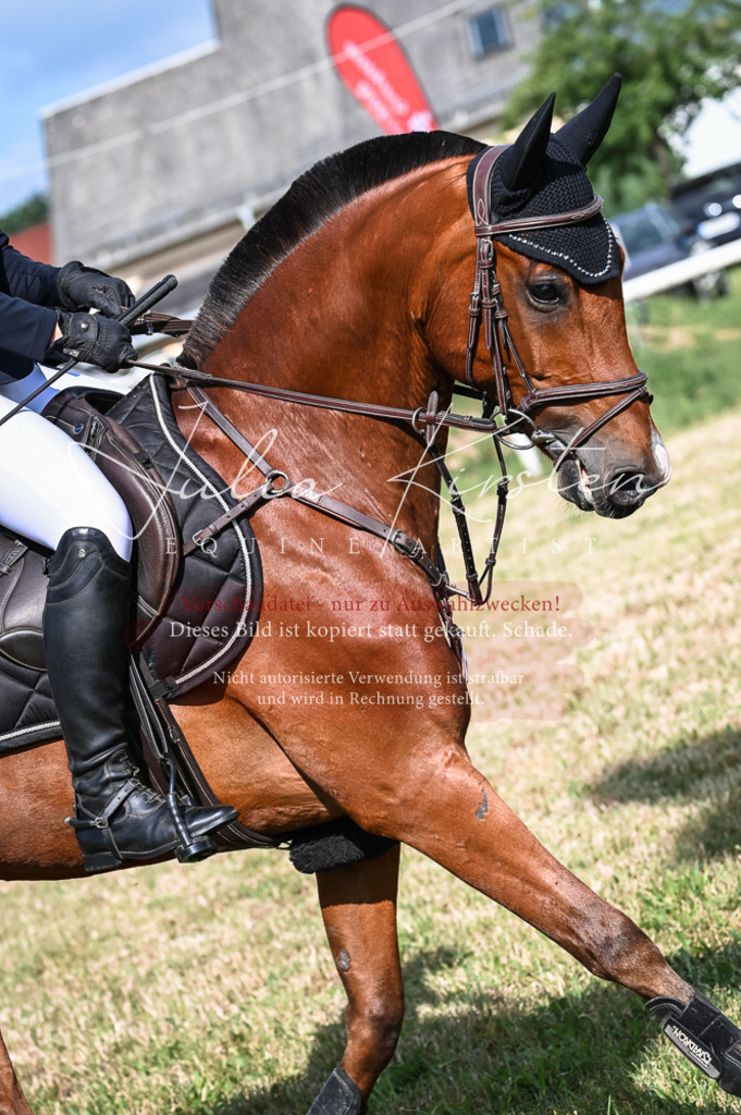 DSC_7893 | Pferde- und Turnierfotografie in Westsachsen. Pferdeportraits, Auftragszeichnungen und intuitive Kunst.
