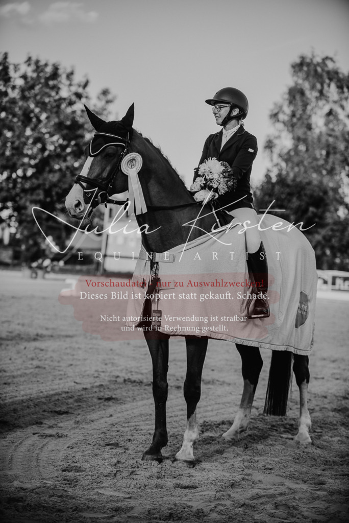 DSC_0723 | Pferde- und Turnierfotografie in Westsachsen. Pferdeportraits, Auftragszeichnungen und intuitive Kunst.