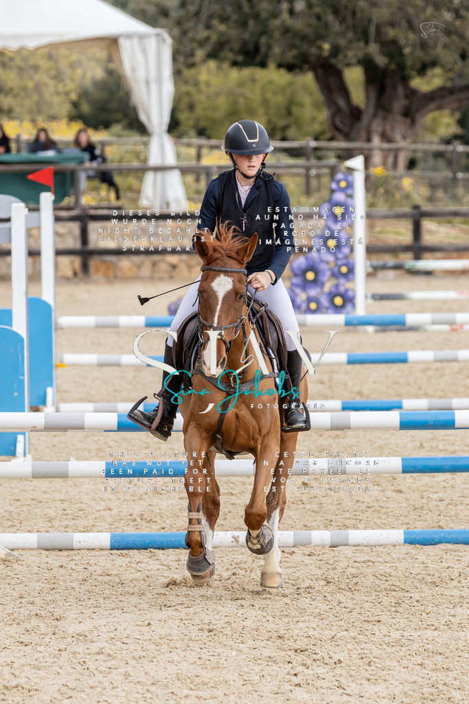 IMG_4701 | s-jay-photography - Realisiert mit Pictrs.com