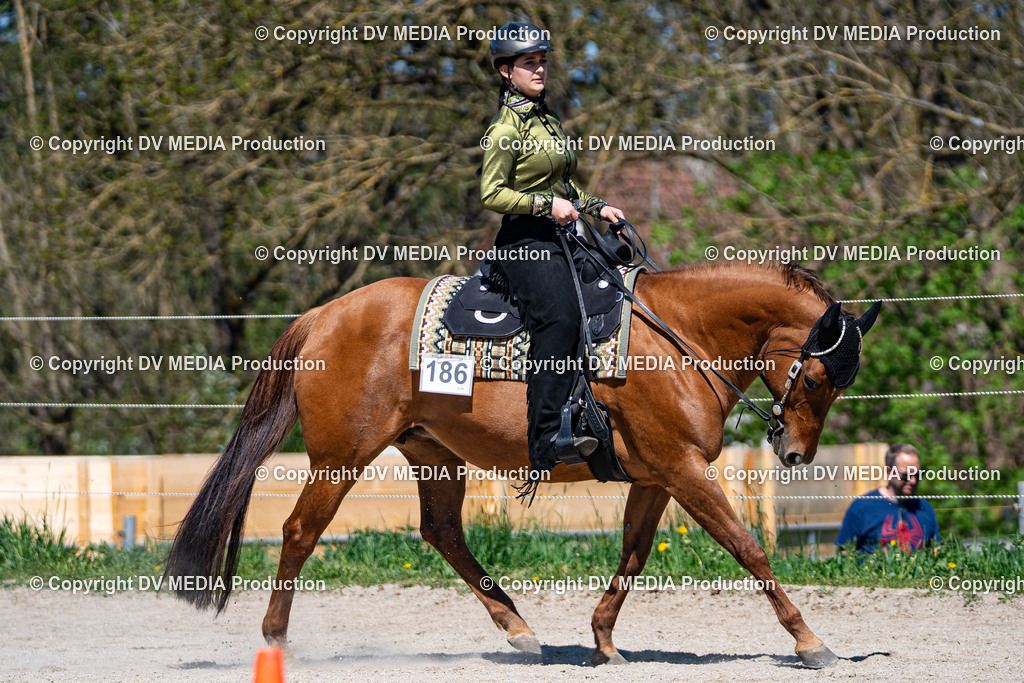 Balingen Tag 1-1026 | dv-media-shop - Realisiert mit Pictrs.com