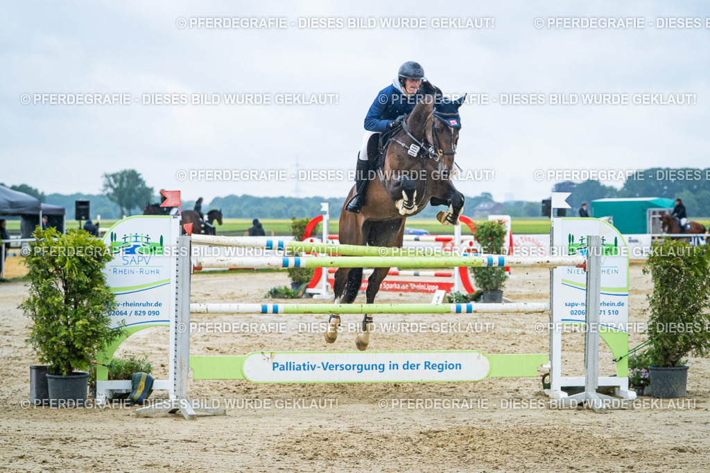 DSC00522 | Pferdegrafie