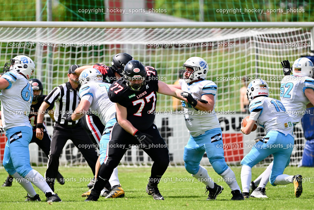 Carinthian Lions vs. Styrian Bears | Carinthian Lions vs. Styrian Bears, Carinthian Lions vs. Styrian Bears am 20.05.2024 in Klagenfurt (ASV Sportplatz), Austria, (Photo by Bernd Stefan)