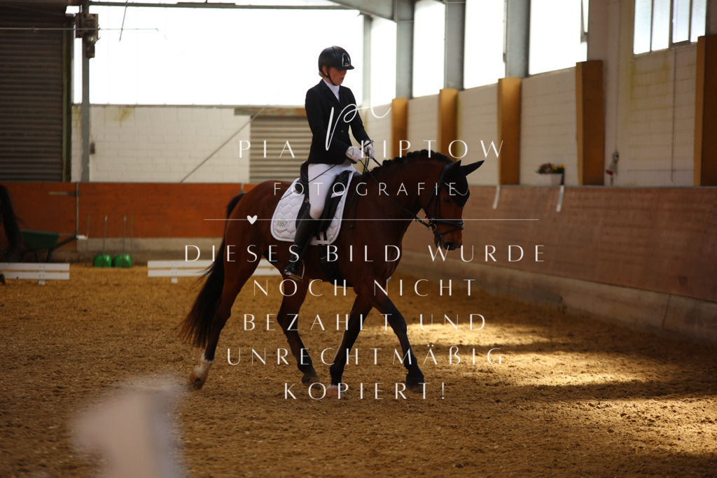 IMGT4390 | pl-fotografie