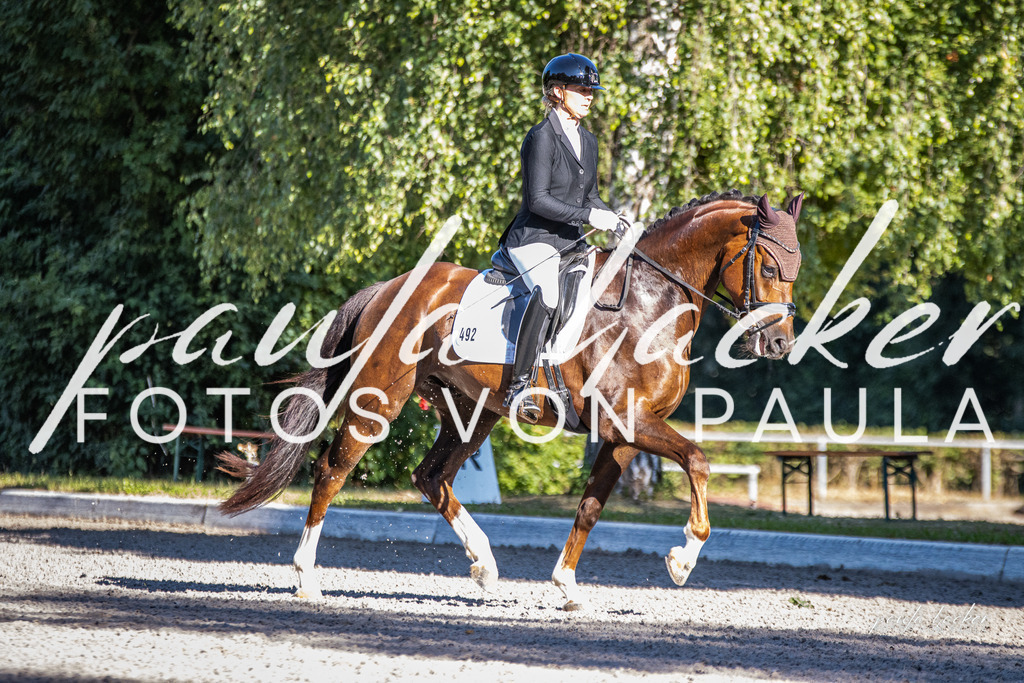 IMG_7899 | Erleben Sie dynamische Sport- und emotionale Tierfotografie in Süddeutschland mit Fotos von Paula. Spezialisiert auf Pferde- und Hundefotografie sowie Sportevents. Kontaktieren Sie mich für einzigartige und ausdrucksstarke Bilder Ihrer besonderen Momente. - Realisiert mit Pictrs.com