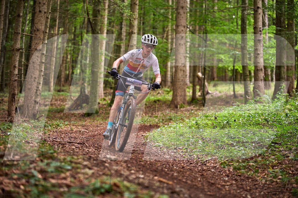Betriebszentrum Laubenbachmühle, Frankenfels, Österreich - 13. September 2025: Dirndltal Race - Fun und Trophy RaceFotograf: Martin Bihounek / martinbihounek.com | 13. September 2025 Betriebszentrum Laubenbachmühle, Frankenfels, Österreich : Dirndltal Race - Fun und Trophy Race •••••Photo by: Martin Bihounek / martinbihounek.comInsta: @martinbihounekcom