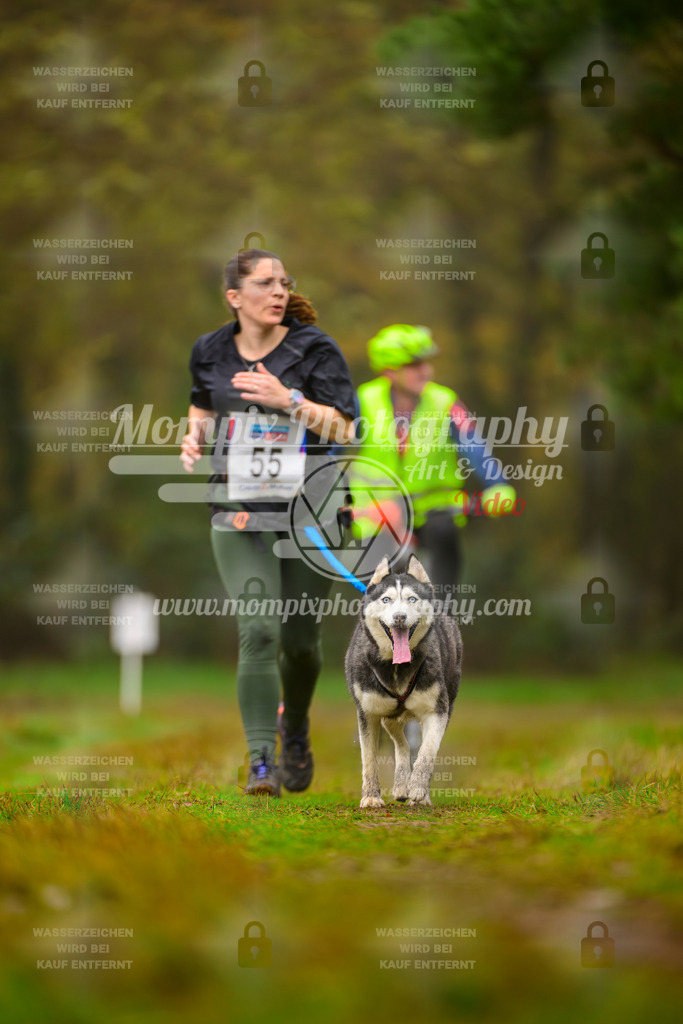 MompixPhotography_Bischwiller2025_Canicross-185 | mompixphotography