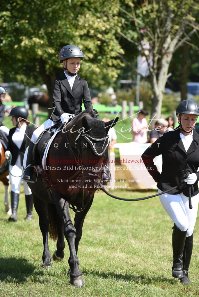 DSC_9752 | Pferde- und Turnierfotografie in Westsachsen. Pferdeportraits, Auftragszeichnungen und intuitive Kunst.
