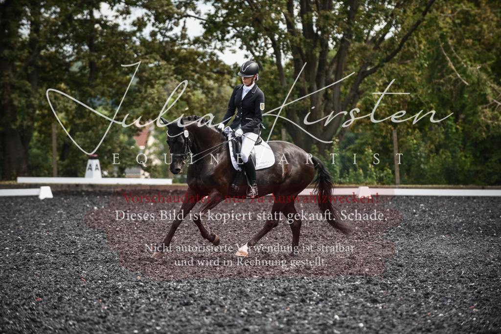 DSC_5077 | Pferde- und Turnierfotografie in Westsachsen. Pferdeportraits, Auftragszeichnungen und intuitive Kunst.