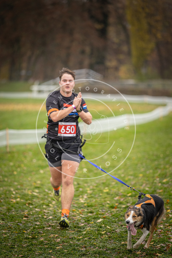 CaniXpix_DV3A0084 | Hundefotografie, Tierfotograf, Pfotenfotografie, Fotoshooting Hund, Hunde Portrait, Hundesport, Hundeportraits, Heideshooting, Hunde, Sportfotograf, Hundefotograf, Turnierhundsport, THS,  - Realisiert mit Pictrs.com