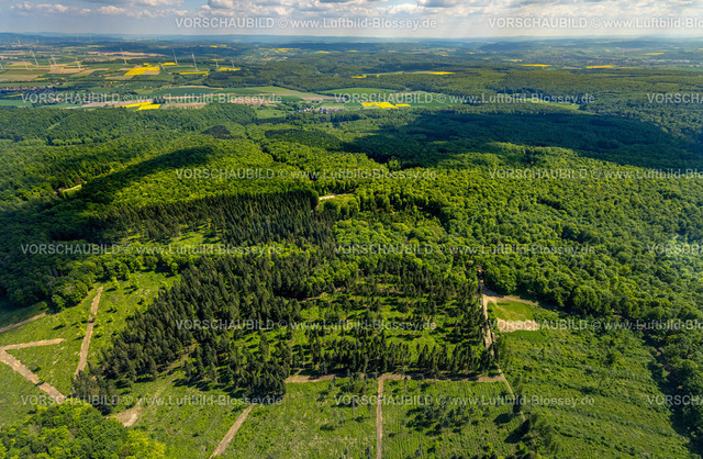 Nieheim240504690NSG-HinnenburgerForst | Luftbild, NSG Naturschutzgebiet Hinnenburger Forst mit Emder Bachtal, Waldgebiet mit Wiesen und Feldern, Fernsicht mit blauem Himmel und Wolken, Pömbsen, Bad Driburg, Ostwestfalen, Nordrhein-Westfalen, Deutschland
