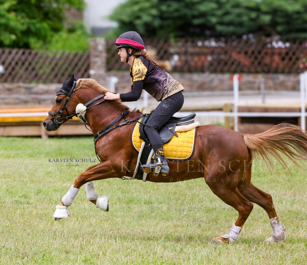 1B3A1341 | Reitsport Reiten
