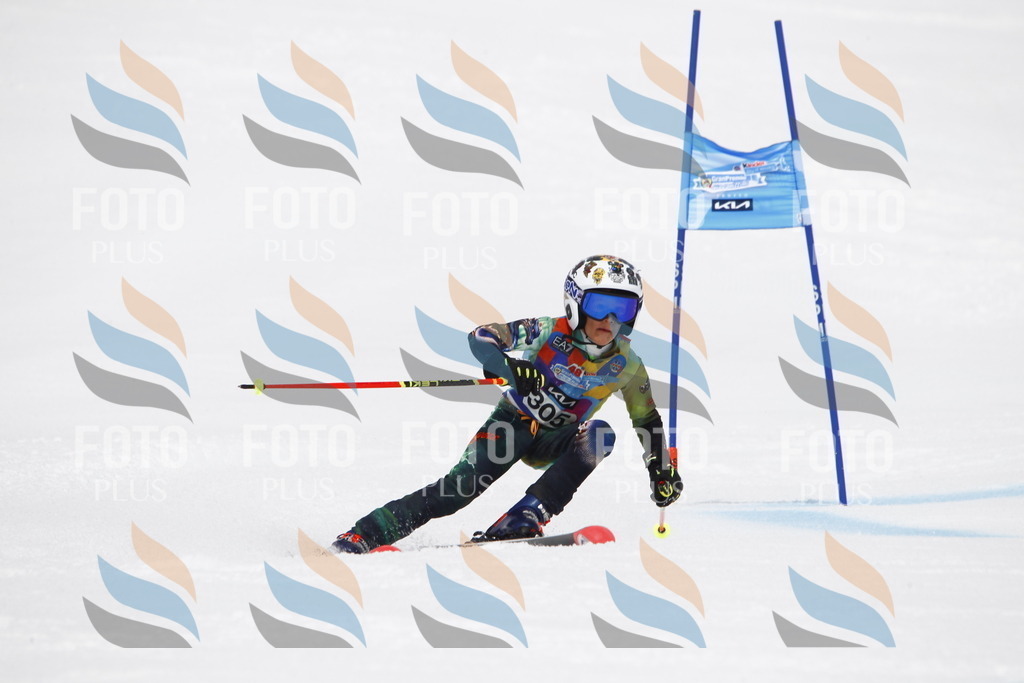 _U3G7592 | holidayphoto