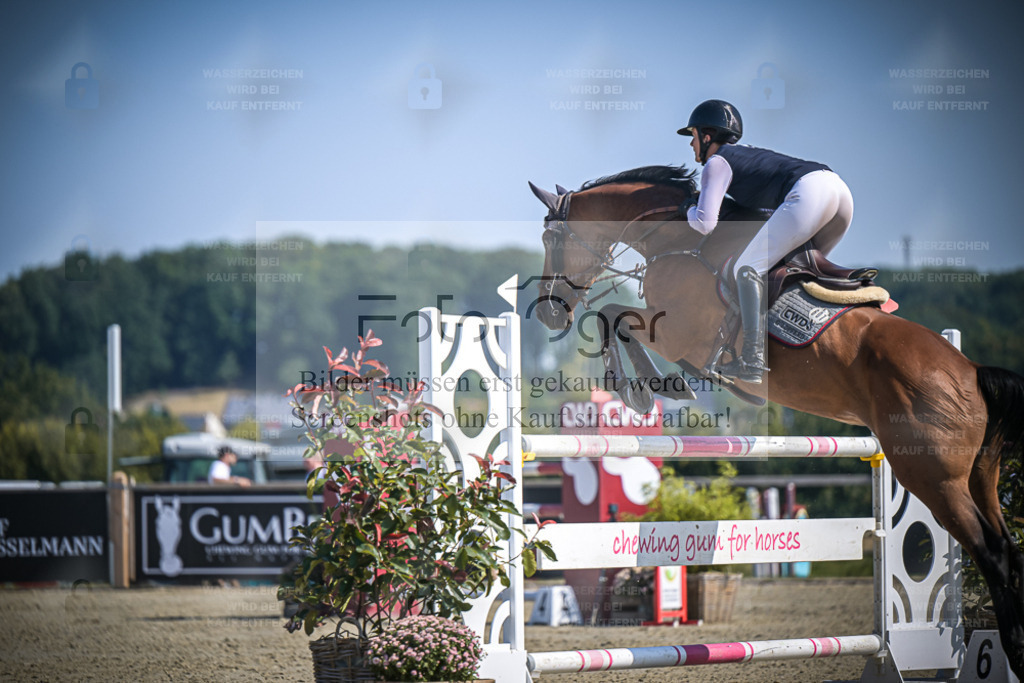 DOS_2857 | Entdecke hochwertige Reitturnierfotos von Foto Oger. Professionell, emotional und authentisch – jetzt Lieblingsmomente im Shop bestellen. - Realisiert mit Pictrs.com