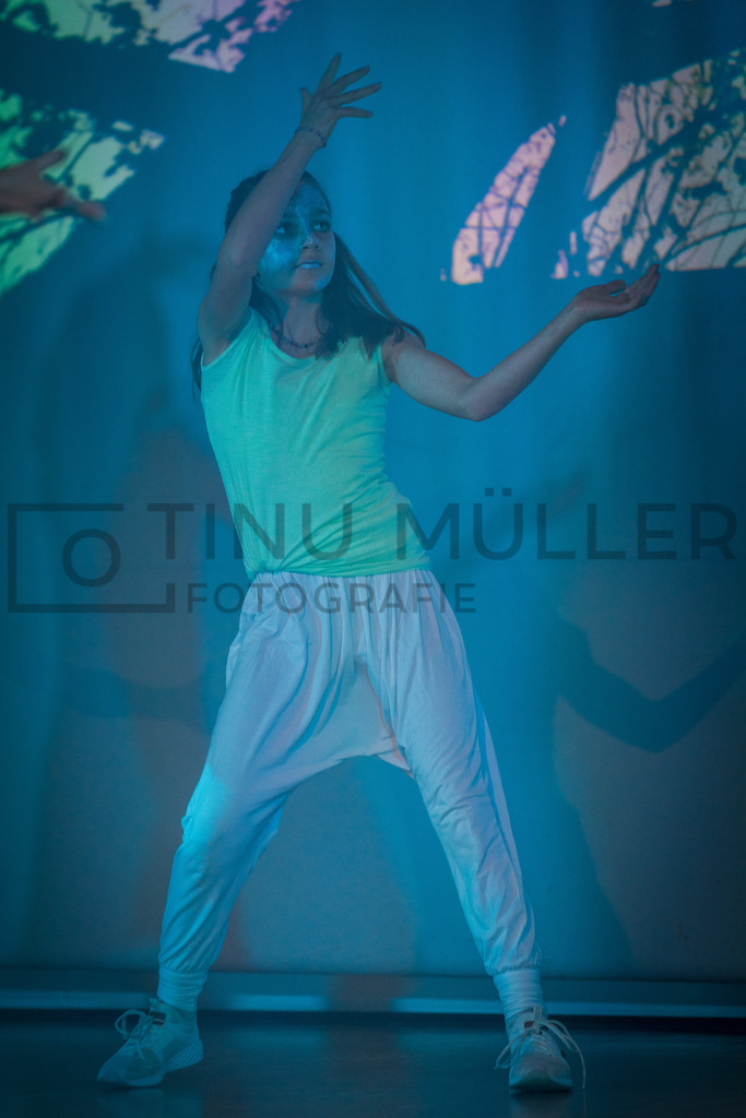 _DSC2260 | Tinu Müller Fotografie- Bildershop - Realisiert mit Pictrs.com