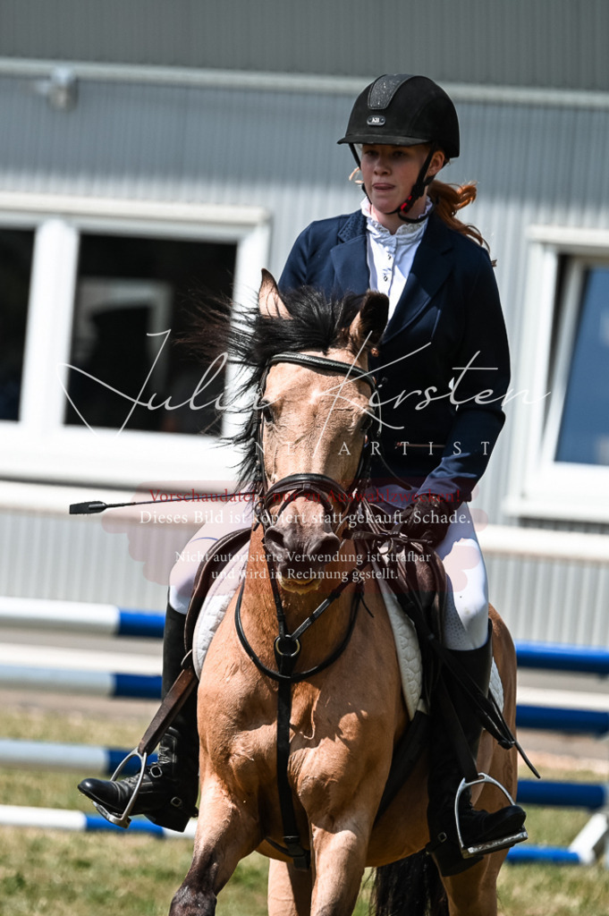 DSC_9317 | Pferde- und Turnierfotografie in Westsachsen. Pferdeportraits, Auftragszeichnungen und intuitive Kunst.