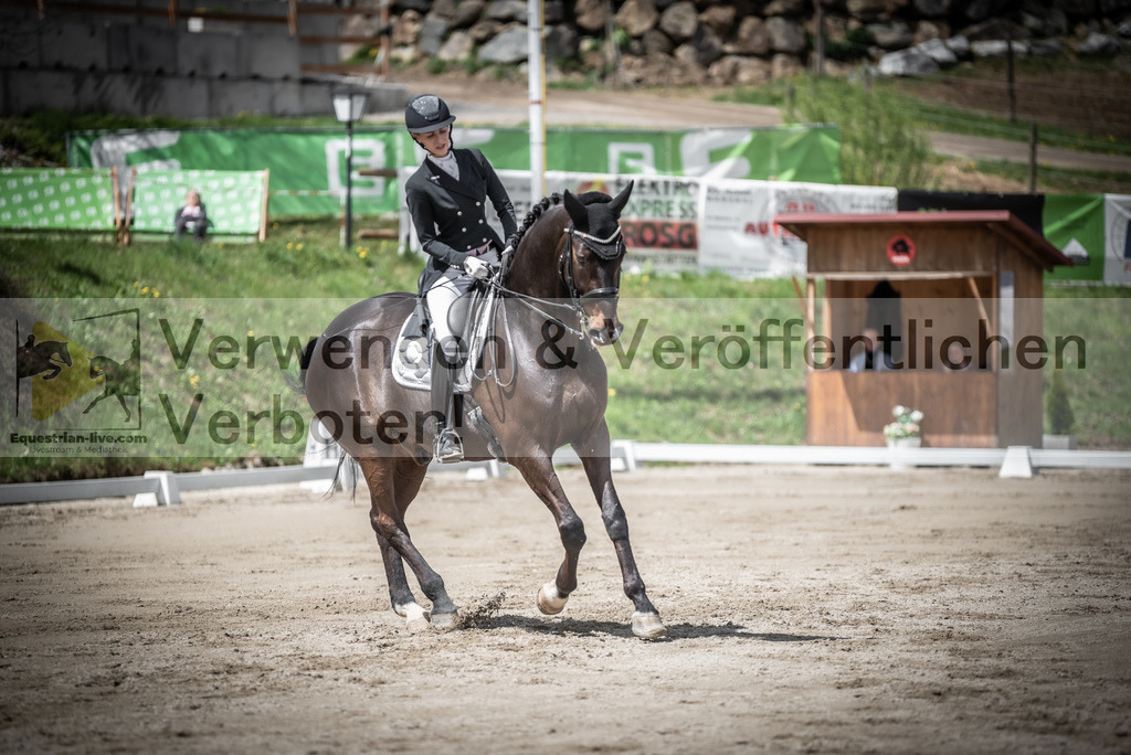 DSC_2325 | equestrian-live-com