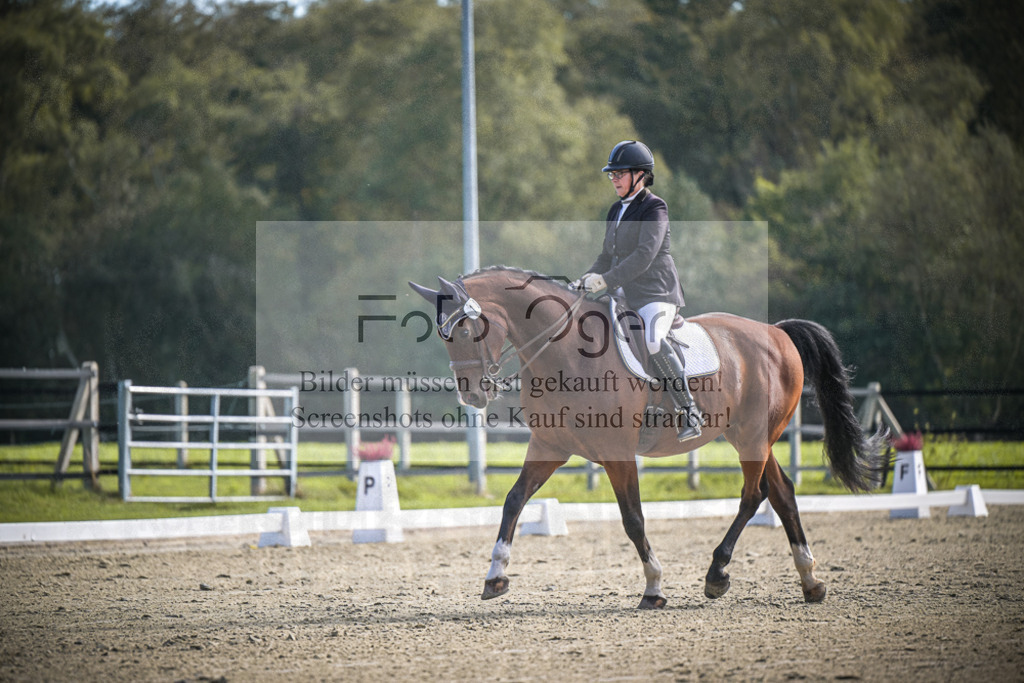 DOS_0923 | Entdecke hochwertige Reitturnierfotos von Foto Oger. Professionell, emotional und authentisch – jetzt Lieblingsmomente im Shop bestellen.Deutschlandweite Turnierfotografie. - Realisiert mit Pictrs.com