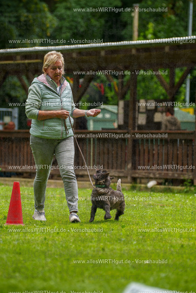 @allesWIRTHgut_Tierfotografie - www.allesWIRTHgut.de - 130203-7R509709 | Professionelle Tierfotografie in Mönchengladbach von Daniel Wirth (allesWIRTHgut). Liebevolle & natürliche Bilder von Hunden & Katzen für unvergessliche Erinnerungen.