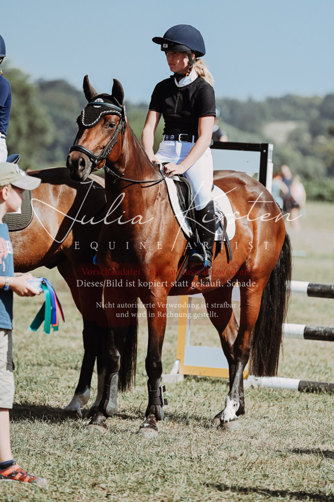 DSC_0083 | Pferde- und Turnierfotografie in Westsachsen. Pferdeportraits, Auftragszeichnungen und intuitive Kunst.