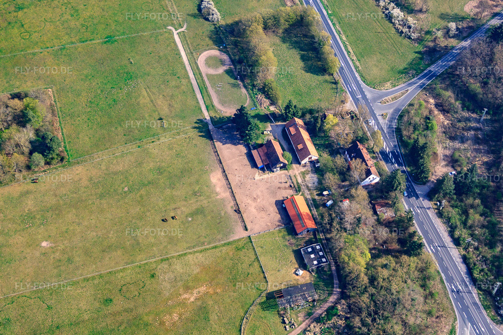 Luftbild: Ehemaliges Forsthaus im Bienwald: Langenberg in Wörth am Rhein im Bundesland Rheinland-Pfalz in Deutschland. Foto: IMG_63838.jpg vom 30.03.2014 durch Werner Riehm/FLY-FOTO.de