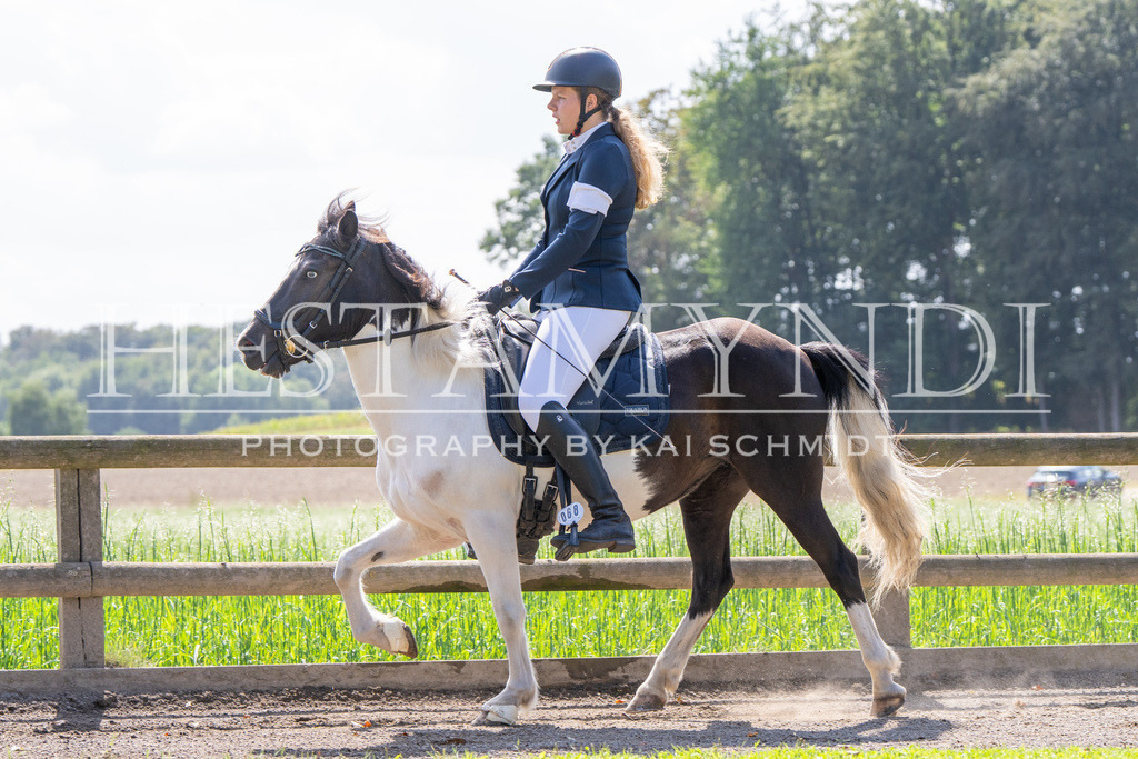 KAI06616 | Ihr sucht einen Fotografen für eure nächste OSI? Ich begleite auch euer Turnier für Islandpferde fotografisch.  - Realisiert mit Pictrs.com