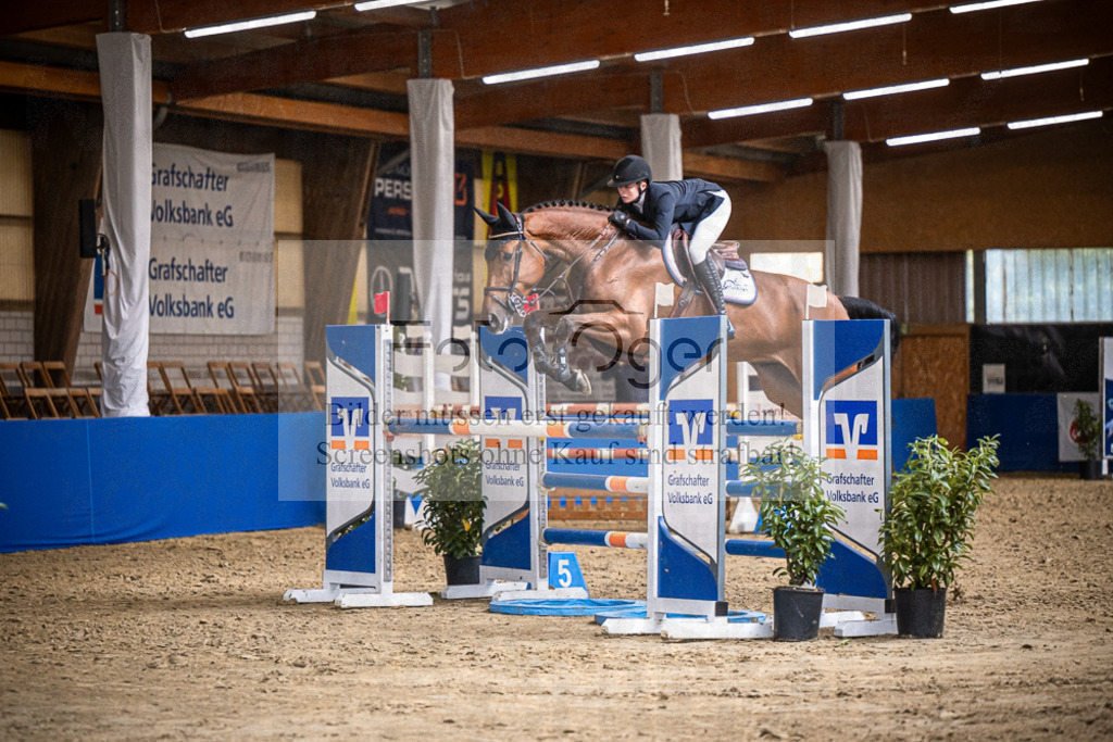 DOS_1493 | Entdecke hochwertige Reitturnierfotos von Foto Oger. Professionell, emotional und authentisch – jetzt Lieblingsmomente im Shop bestellen.Deutschlandweite Turnierfotografie. - Realisiert mit Pictrs.com