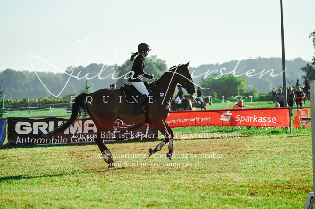 DSC_4508 | Pferde- und Turnierfotografie in Westsachsen. Pferdeportraits, Auftragszeichnungen und intuitive Kunst.