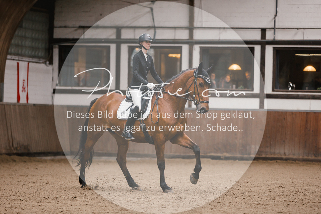 3I6A6764 | Stimmungsvolle Portraits und Reitsportfotografie im Ruhrgebiet und im Münsterland.

Pferdefotografie, Hundefotografie, Tierfotografie, Reportagen, Portraits von Tier und Mensch, Turnierfotografie in Bochum, Recklinghausen, Marl, Haltern am See, Dülmen.. - Realisiert mit Pictrs.com