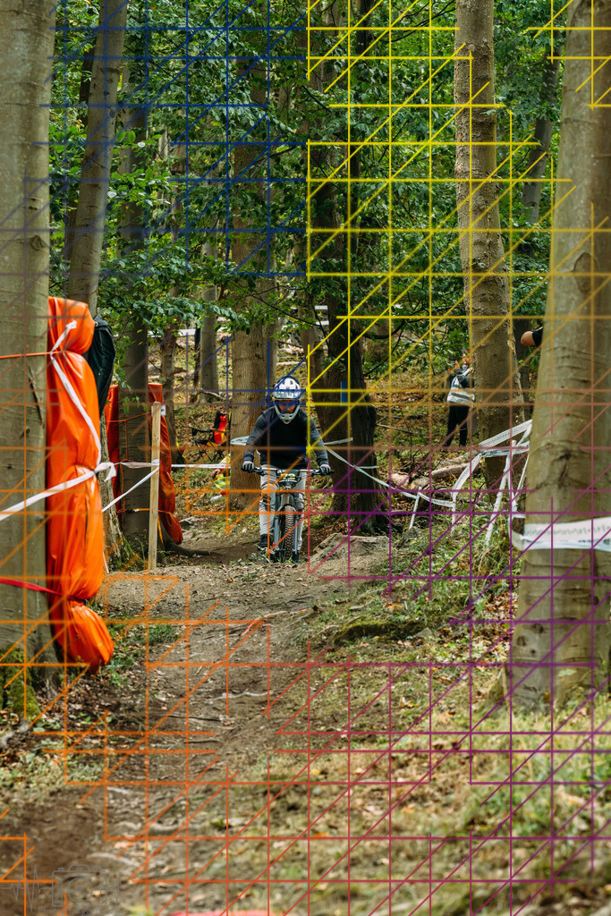 PAE-0340 | Einzigartige Fotokunst für dein Zuhause: Entdecke hochwertige Wandbilder, edle Prints und emotionale Motive von Wildlife, Natur und Landschaften - Realisiert mit Pictrs.com