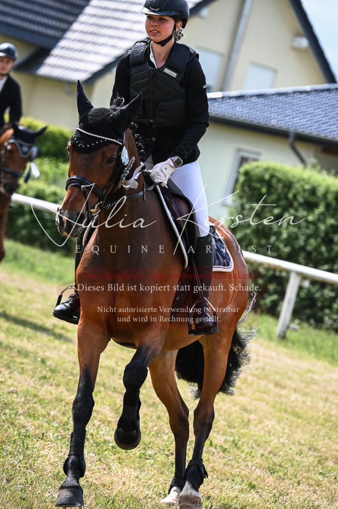 DSC_8631 | Pferde- und Turnierfotografie in Westsachsen. Pferdeportraits, Auftragszeichnungen und intuitive Kunst.