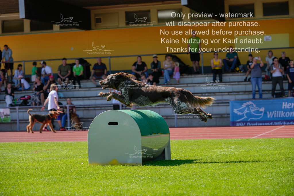 Sonntag_VK Hindernis (441 von 671) | stephaniefillaphotographie - Realisiert mit Pictrs.com