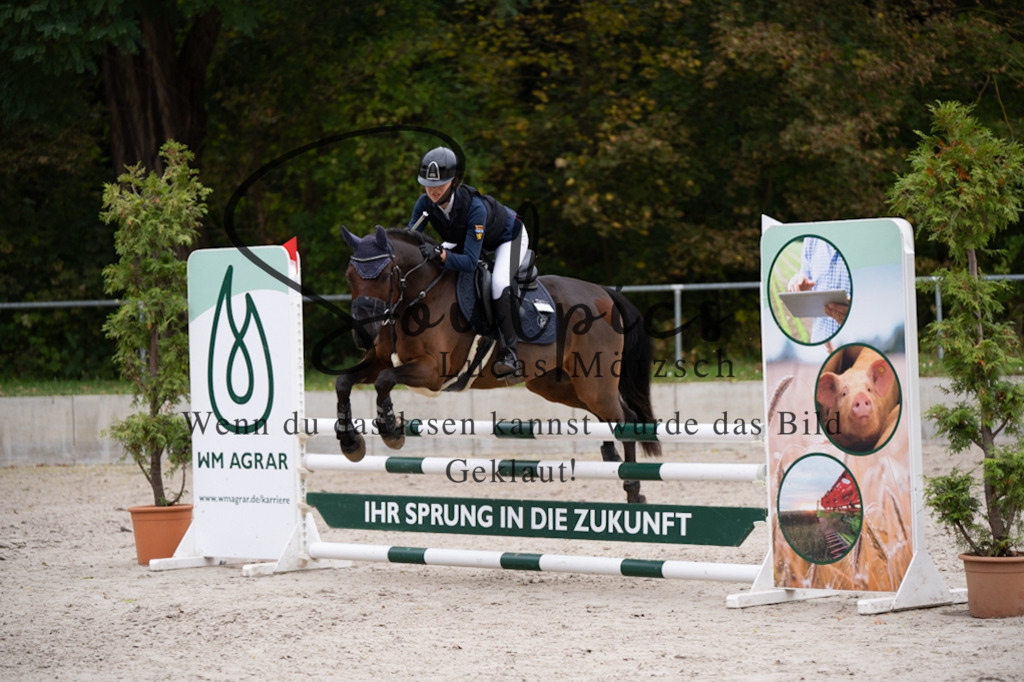 A7V07971 | Pferdefotograf