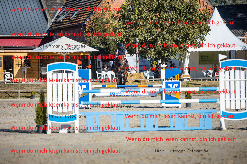 BK1A6115 | Turnierbilder Turnierfotos Nina Hüffmann Turnierfotografie Pferdefotografie Tierzeichnung Haustierzeichnung Pferdezeichnung Hundezeichnung Videograf  - Realisiert mit Pictrs.com