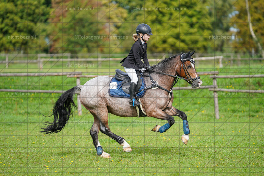 20230917-FAH09194 | Landsberg am Lech, 2023, Kaufbeuren, Kempten, Allgäu, Turnierfotografen Bayern, Fotoagentur Herrmann, Turnierbilder, Reitsport Fotos, Pferdefotograf, Augsburg, Bad Tölz, Dachau, Karlsfeld, Memmingen, Buchloe, Schwabmünchen