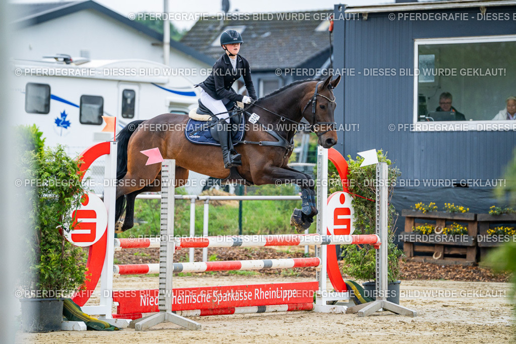 DSC02027 | Pferdegrafie