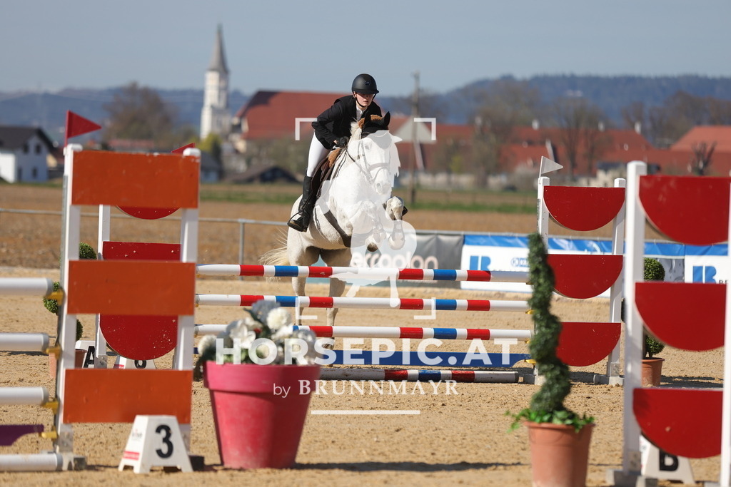 0P6A1955 | Willkommen bei Brunnmayr - Design & Fotografie – Ihrem Spezialisten für Reitturniere und Pferdeveranstaltungen in Oberösterreich, Salzburg und Bayern! Seit über 17 Jahren sind wir leidenschaftlich dabei.