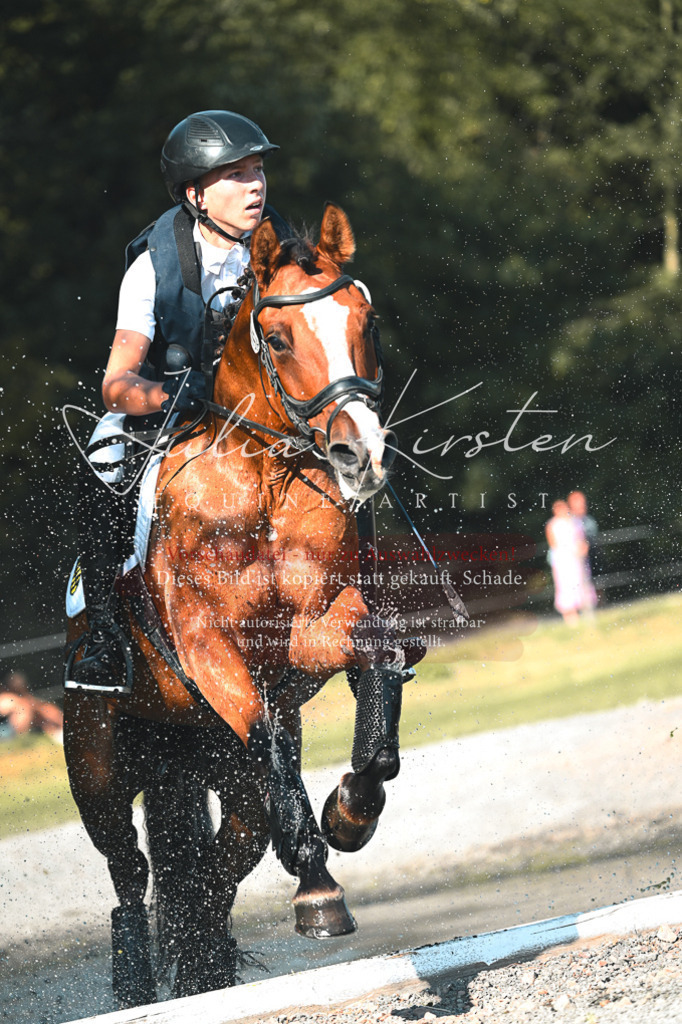DSC_8821 | Pferde- und Turnierfotografie in Westsachsen. Pferdeportraits, Auftragszeichnungen und intuitive Kunst.