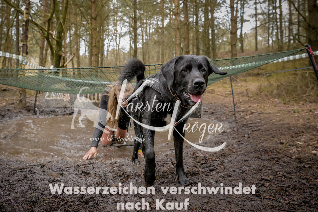 1056_ZZ92755 | kk-dogfotos