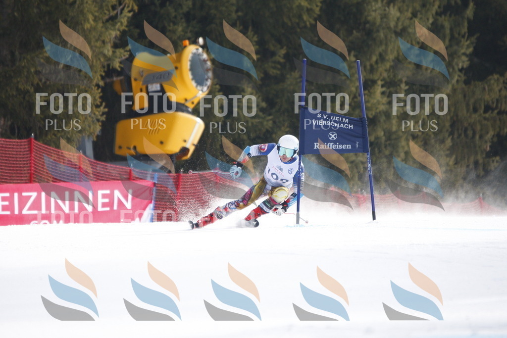 D6499 | holidayphoto