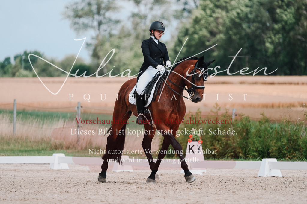 DSC_4359 | Pferde- und Turnierfotografie in Westsachsen. Pferdeportraits, Auftragszeichnungen und intuitive Kunst.