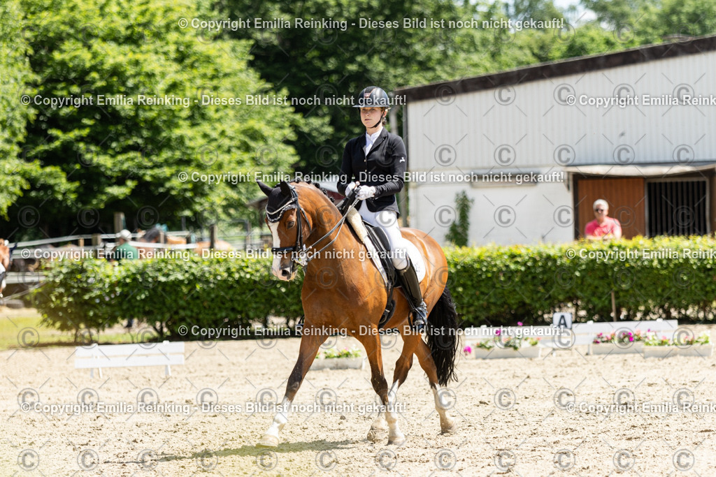 CL5A8800 | Emilia Reinking Fotografie - Realisiert mit Pictrs.com