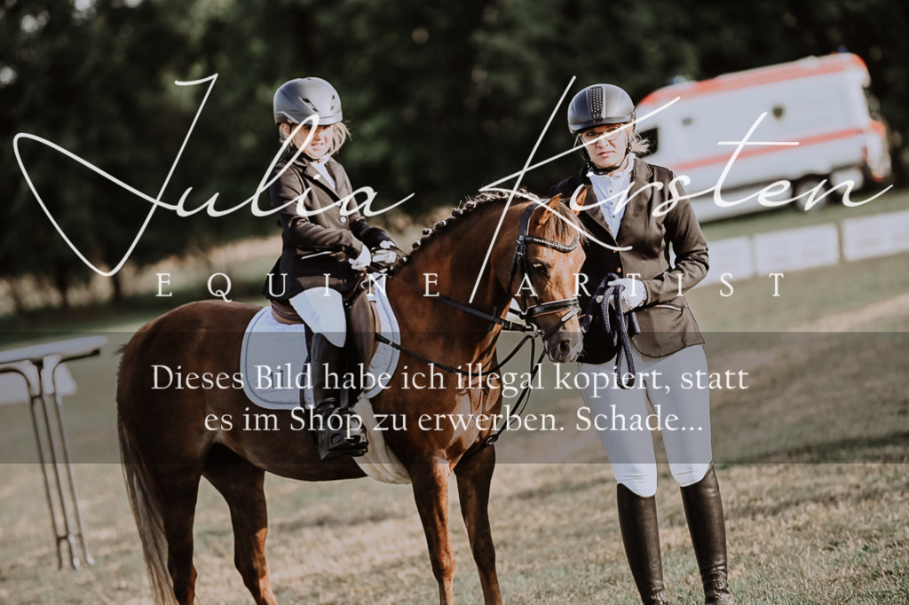 DSC_0123 | Pferde- und Turnierfotografie in Westsachsen. Pferdeportraits, Auftragszeichnungen und intuitive Kunst.