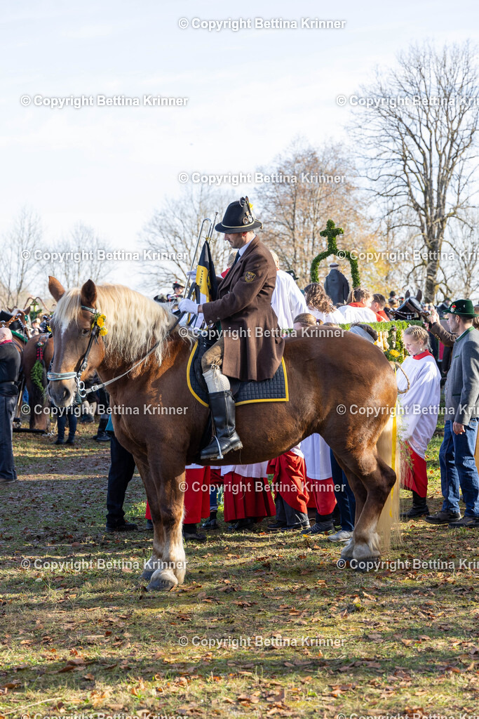 LBT24-1118 | foto-bettina-krinner - Realisiert mit Pictrs.com