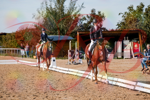 2026_10_03_Siefer-Hof_132908_Z63_91061136 | Professionelle Reitsport-, Turnier- und Eventfotografie von Robert Broda. Galerien mit ausgewählten und bearbeiteten Bildern direkt online ansehen und bestellen.