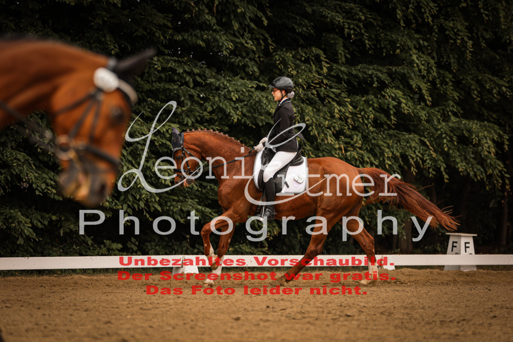 DoDrE00114 | Leoni Ertmer Photography - Realisiert mit Pictrs.com