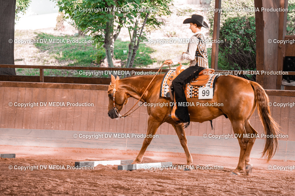 NE300179 | dv-media-shop - Realisiert mit Pictrs.com