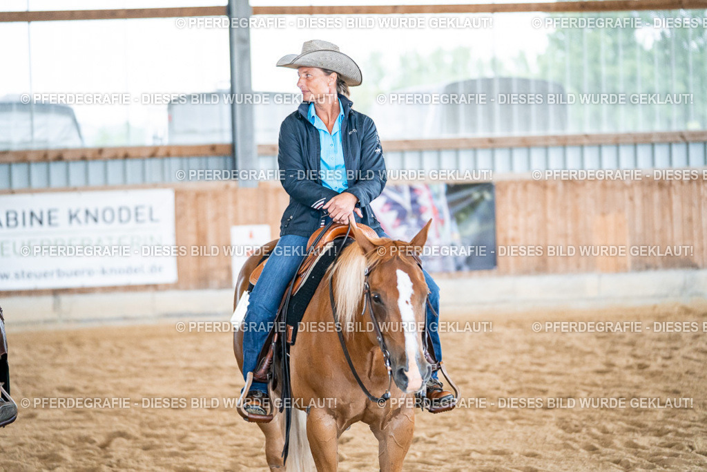 DSC03457 | Pferdegrafie