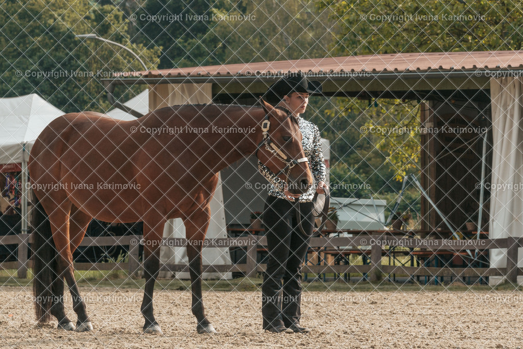 DSC02659 | ikphotography - Realisiert mit Pictrs.com