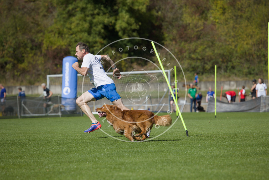 0L8A6429 | Hundefotografie, Tierfotograf, Pfotenfotografie, Fotoshooting Hund, Hunde Portrait, Hundesport, Hundeportraits, Heideshooting, Hunde, Sportfotograf, Hundefotograf, Turnierhundsport, THS,  - Realisiert mit Pictrs.com